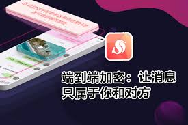 三条中文版官网下载慢